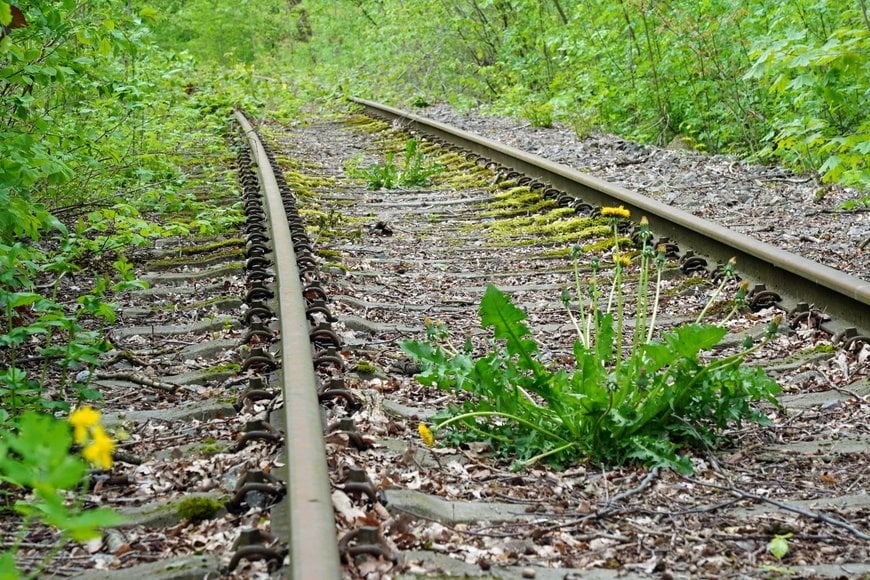 Mehr klimafreundlicher Bahnverkehr in der Fläche: DB reaktiviert stillgelegte Strecken